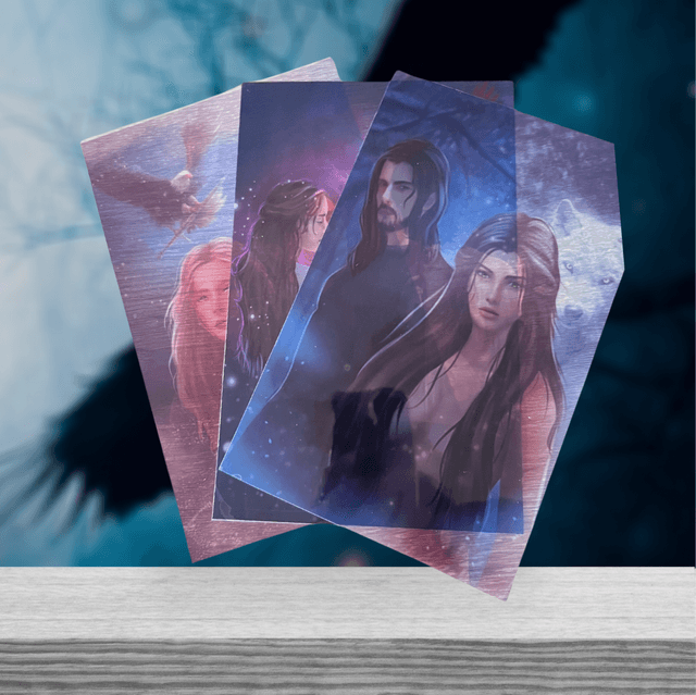 Lot de 4 overlays